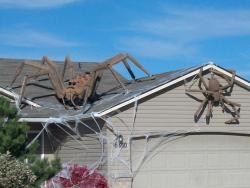 usedtodohugs:  oshiin:  how about no  Is this a Halloween decoration or a picture of a house in Australia? 