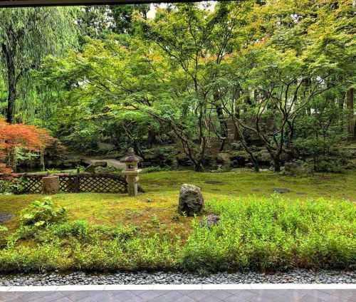 京都市国際交流会館庭園 [ 京都市左京区 ] Kyoto International Community House(kokoka) Garden, Kyoto ⇨ @kokokakcif の写真・記