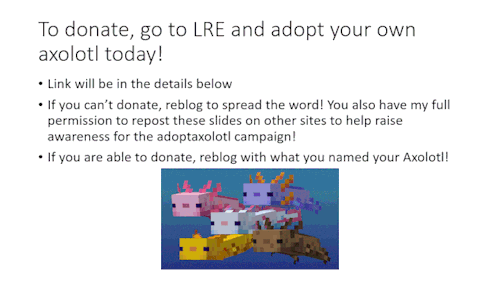 Hello, If You Also Love The Minecraft Axolotl And Would Like To Help Preserve Their Real Life Equivalents,