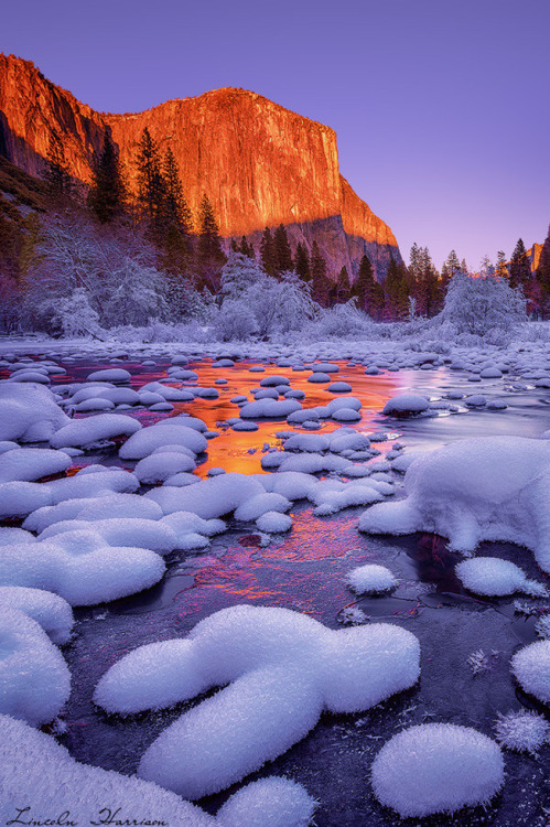 musts:  *** by Lincoln Harrison Yosemite, California, USA 