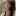 forasiangirls:thaicutedailypost:Nice panties 