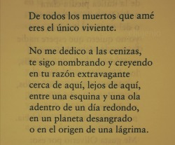 eljujeniodeletras-world:  Pablo Neruda. Oliverio Girondo. Fin del mundo.