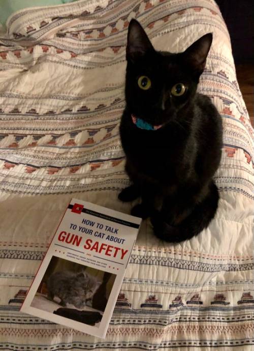 📷 by bestcatmomever