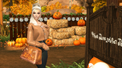 HALLOWEEN SPECIAL Halloween Themed Deco Birkin’s         DOWNLOAD&nbs