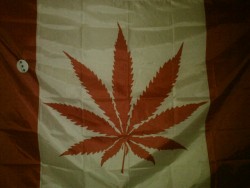Sparrow42O:  Flag On My Brothers Wall, God I Love Being Canadian