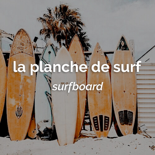 dailyfrench:le 4 juin   ⋮   la planche de surf   ⋮   surfboard