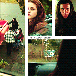 thetwilightsagax:  Twilight (2008) - “When you can live forever, what do you live