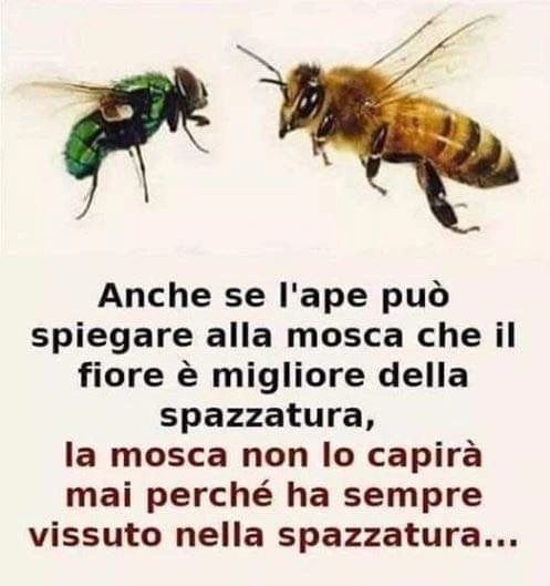 Si può portare il bue assetato al fiume, ma se non sarà lui a bere, morirà.
Proverbio Zen
https://www.instagram.com/p/Cotf2TBNASS/?igshid=NGJjMDIxMWI=