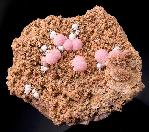 hematitehearts:Very Rare Specimen Featuring Round Balls of Rhodochrosite with Calcite from Australia