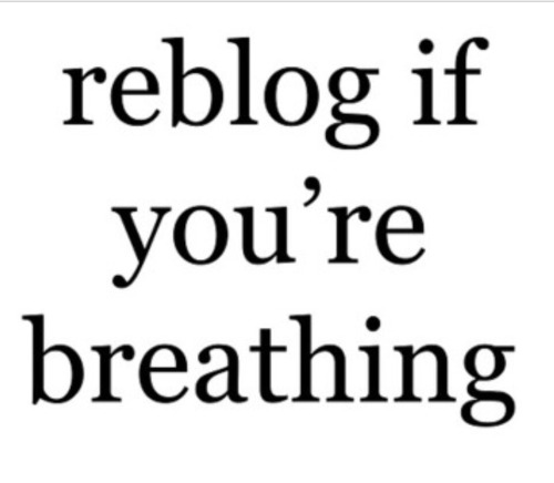 follow-for-motivation: “Let’s see how many people are breathing.” I’m breath