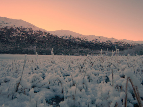 expressions-of-nature:  On the shores of Eklutna Lake, Alaska by Jason Everett 