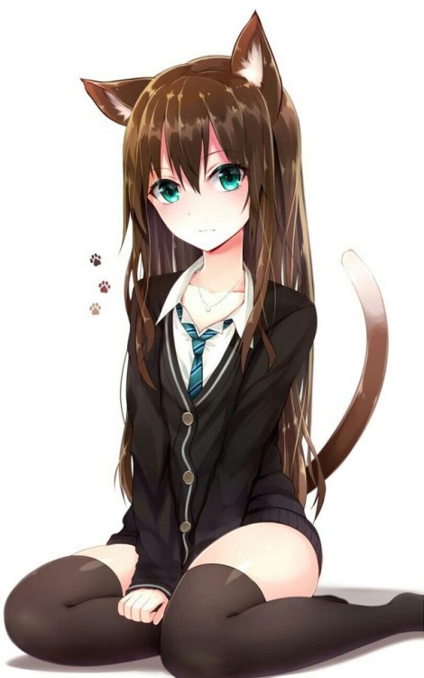 nekokittygirl: W-what are you looking at, Master?