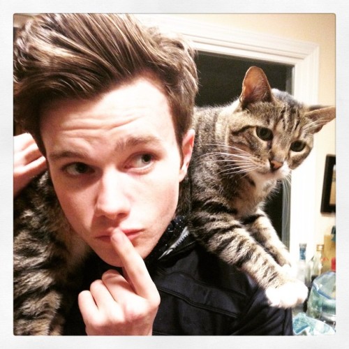 dailychriscolfer:hrhchriscolfer: Behind every great man…is a cat who makes him feel obsolete.