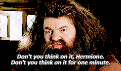 fightforpride:  clittyslickers:  second-breakfast:  can y’all shut the fuck up about snape when we had LITERALLY THE SWEETEST MAN EVER  hagrid is my favorite person   AW