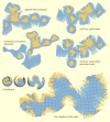 Myriahedral maps showing the near contiguity of Earth’s continents and oceans (J. van Wijk)