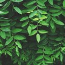kyethn:  Hello to all the porn tumblrs that have inexplicably started following mePrepare