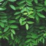 kyethn:  Hello to all the porn tumblrs that have inexplicably started following mePrepare