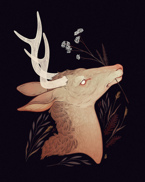 And When You Close Your Eyes Again, They Open In A Different Head.