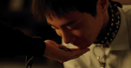 Love And Leashes (2022)