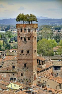 Lucca, italy