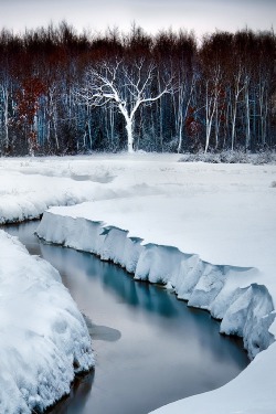 ponderation:  Snow Blown #2 by Matt Anderson