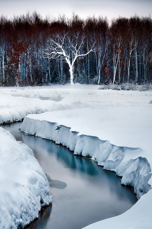 ponderation:Snow Blown #2 by Matt Anderson A meandering creek leads in an S-shaped curve to a recent
