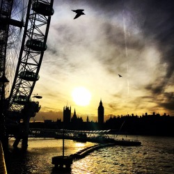 dontforgetchaos:  My photography. Taken today.  Bird London sunset.  Don’t Forget The Chaos. 