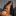 welovemusculargirls: