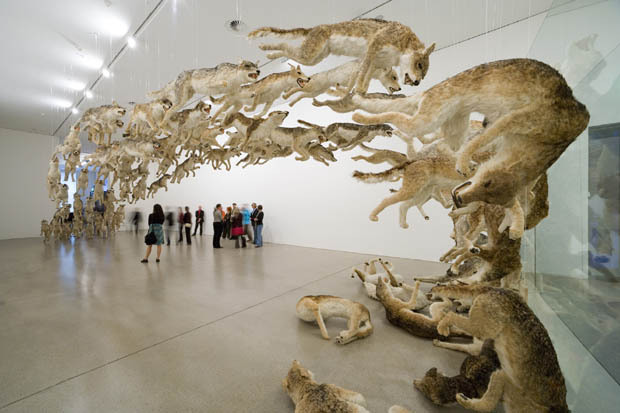 doctornsara: davidgilmoursmanboobs:  sixpenceee:  Cai Guo-Qiang takes an interesting