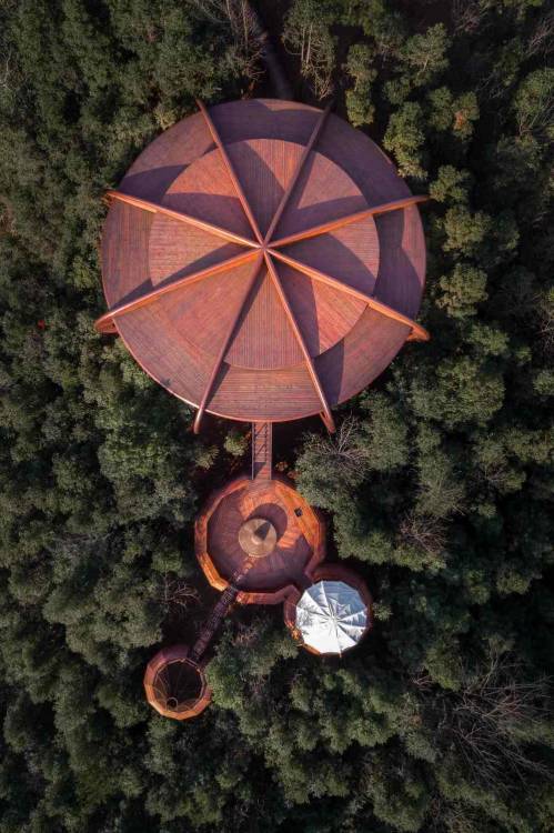 archatlas:  The Tree House in Qiyun Mountain Atelier Design Continuum  ZYJ Tree house world is locat