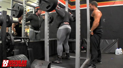 roidsville-zoo:  Justin Lovato - workout erection 
