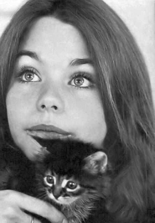 Susan Dey Nudes &Amp;Amp; Noises  