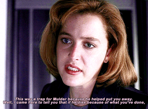 mulderscully:  1.12 | 5.02