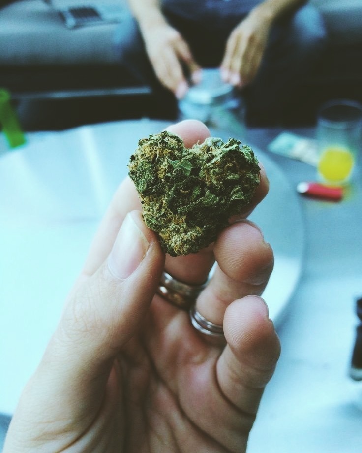 Weed LTD