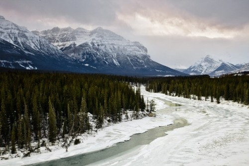 Whirlpool River, Jasper, Alberta