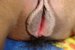 lippynippystudies: I love this pic of my wife Treena’s pussy It’s the best pic I have ever taken It’s a work of ART I would love to blow  It up and hang on the wall for everyone to see It’s so perfect and beautiful I love it Please don’t