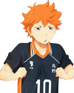 tetsukun:  transparent hinata for your blog!!