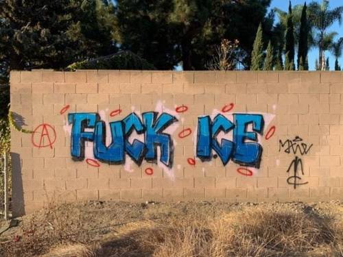 &lsquo;Fuck ICE&rsquo; seen in Los Aangeles ICE is the US Immigration Police