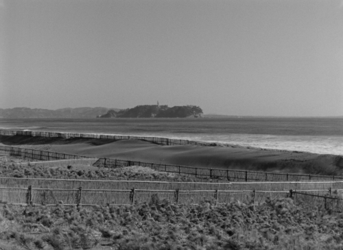 verachytilovas:EARLY SPRING ‘早春, Sōshun’ (1956) dir. Yasujirō Ozu