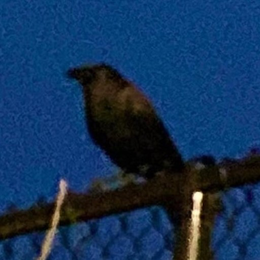 asthe-crow-flies:“the average witch is responsible for 8 villages” factoid actually just statistical error. the average witch is only responsible for about 2-3 villages. Tiffany Aching, who is responsible for the entire Chalk, is an outlier and should