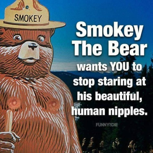 morphene-gimlet:Smokey the High-Maintenance Bear