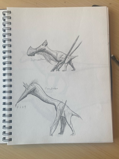 Additional Flappy Lads. They Flap. You Screm. They Kebab You :3