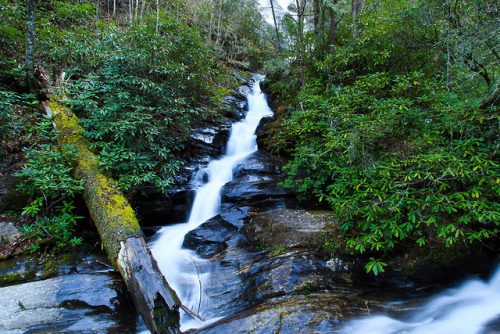 Dukes Creek Falls by Harmon Caldwell