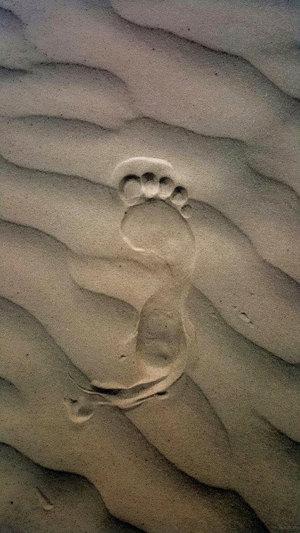 imickeyd: My Footprint in the Sand - Myriam Kriel
