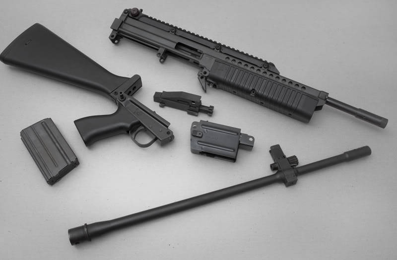 cerebralzero:  thearmedgentleman:  gunrunnerhell:  Robinson Arms M96 Based slightly