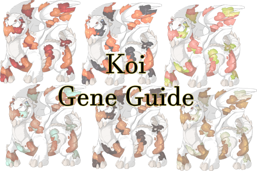 forgotten-chimaera: I’ve created a Koi gene guide, displaying all the colors the genes come in