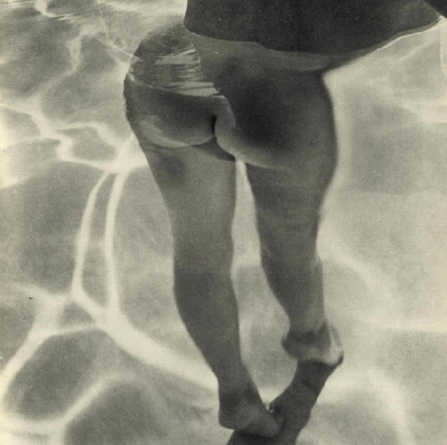 an-erotic-gentleman:  Submerged.