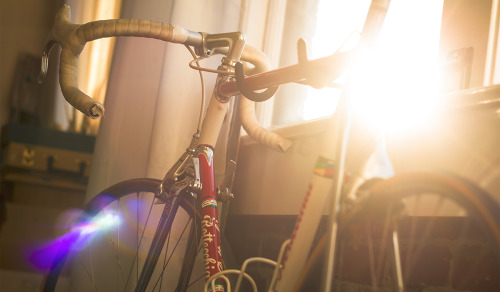 garrettolinger:  Italian Bottecchia SLX campagnolo century, my new project bike. 