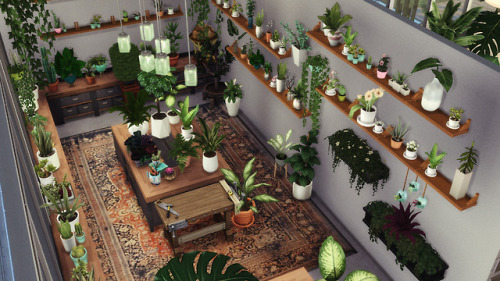 TS4 Plant NurseryThe other day I dreamed of owning such a space IRL. Had to build it in The Sims 4, 