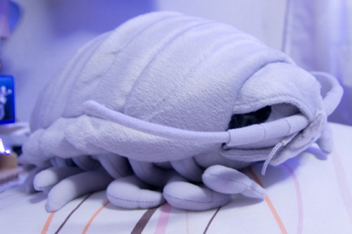 thebatterie:awrrex-stein:kotakucom:Here, have a cuddly giant isopod plushie.WANTi need this omg